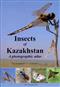 Insects of Kazakhstan: A photographic atlas