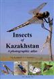 Insects of Kazakhstan: A photographic atlas