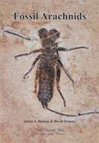 Fossil Arachnids