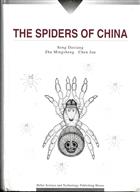 The Spiders of China