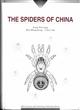The Spiders of China