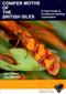 Conifer Moths of the British Isles.A Field Guide to Coniferous-feeding Lepidoptera