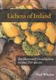 Lichens of Ireland: An Illustrated Introduction