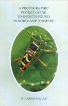 A Photographic Pocket Guide to Insects found in Northamptonshire