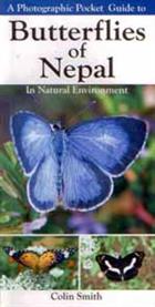 A Photographic Pocket Guide to Butterflies of Nepal: In Natural Habitat