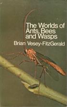 The Worlds of Ants, Bees and Wasps