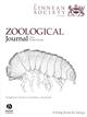 Revision of the Neotropical Scleropactidae