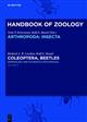 Coleoptera, Beetles. Vol. 3: Morphology and Systematics (Phytophaga) (Handbuch der Zoologie)