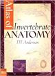 Atlas of Invertebrate Anatomy