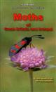 Moths of Great Britain and Ireland: A Field Guide to All the Macromoths