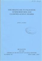 The Braincase in Paleozoic Symmoriiform and Cladoselachian Sharks