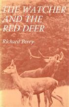 The Watcher and the Red Deer