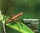 Grasshoppers of Northwest South America. A Photo Guide. Vol. 1: The Western Fauna: Western and Central Cordillera, Choco