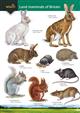 Guide to the land mammals of Britain