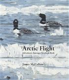 Arctic Flight Adventures Amongst Northern Birds