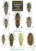 Guide to the ladybird larvae of the British Isles (Identification Chart)