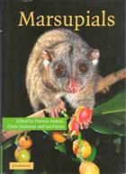 Marsupials