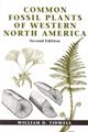 Common Fossil Plants of Western North America