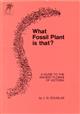 What Fossil Plant is that? A guide to the Ancient Floras of Victoria