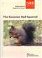 The Eurasian Red Squirrel. Sciurus vulgaris