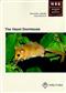 The Hazel Dormouse. Muscardinius avellanarius