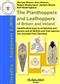 The Planthoppers and Leafhoppers of Britain and Ireland Identification keys to all families and genera and all British and Irish species not recorded from Germany