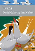 Terns (New Naturalist 123)