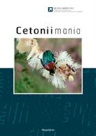Cetoniimania No. 3