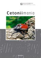 Cetoniimania No. 4