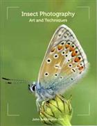 Insect Photography: Art and Techniques