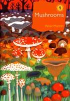 Mushrooms: The natural and human world of British fungi