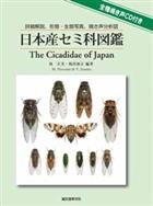 The Cicadidae of Japan