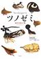 Treehoppers: Incredible Insects