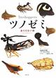 Treehoppers: Incredible Insects