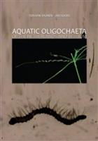 Aquatic Oligochaeta of the Netherlands and Belgium 