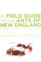 A Field Guide to the Ants of New England