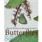 Butterflies of the South Pacific