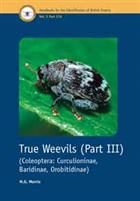 True Weevils 3: Coleoptera: Curculionidae (Curculioninae, Baridinae, Orobitidinae) (Handbooks for the Identification of British Insects 5/17d)