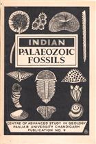 Indian Palaeozoic Fossils