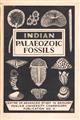 Indian Palaeozoic Fossils