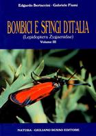 Bombici e Sfingi d'Italia 3: Zygaenidae