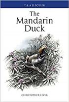 The Mandarin Duck