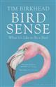 Bird Sense: What It's Like to Be a Bird