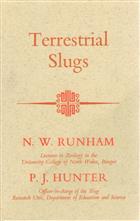 Terrestrial Slugs