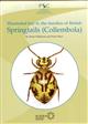 Illustrated key to the families of British Springtails (Collembola) (Identification Chart)