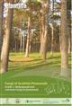 Fungi of Scottish Pinewoods: Guide 1 - Widespread and common fungi of pinewoods