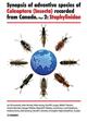 Synopsis of adventive species of Coleoptera (Insecta) recorded from Canada. Part 2: Staphylinidae
