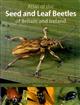 Atlas of the Seed and Leaf Beetles of Britain and Ireland (Coleoptera: Bruchidae, Chrysomelidae, Megalopodidae and Orsodacnidae)