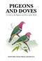 Pigeons and Doves: A Guide to the Pigeons and Doves of the World