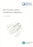 Key to the Larvae of British Corixidae